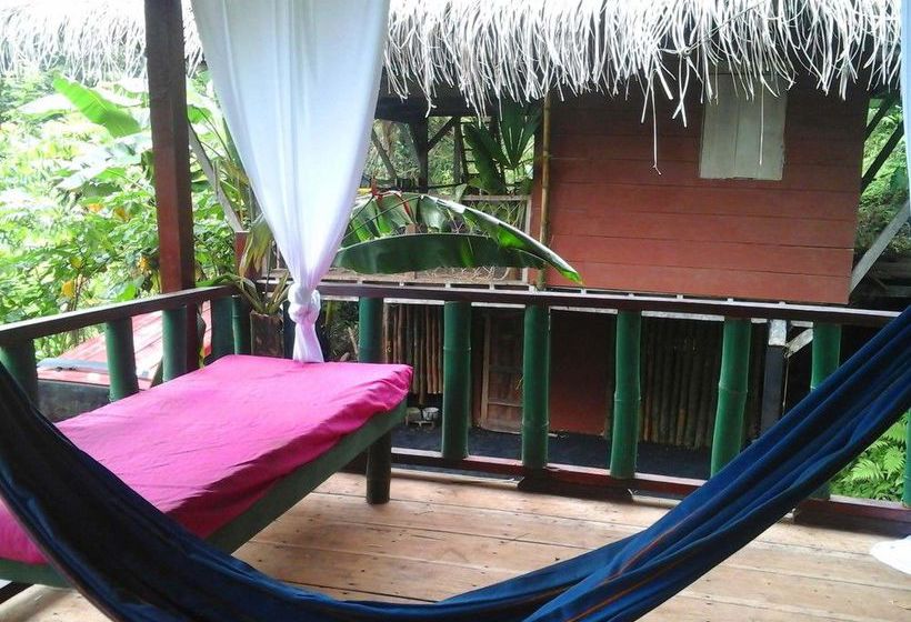 Blue Butterfly  | Puerto Viejo de Talamanca | Limón | Costa Rica 3