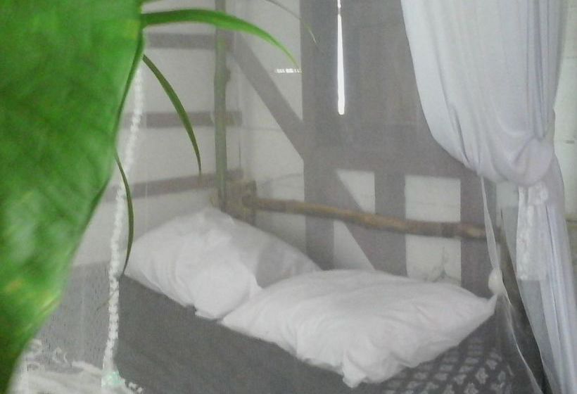 Blue Butterfly  | Puerto Viejo de Talamanca | Limón | Costa Rica 4