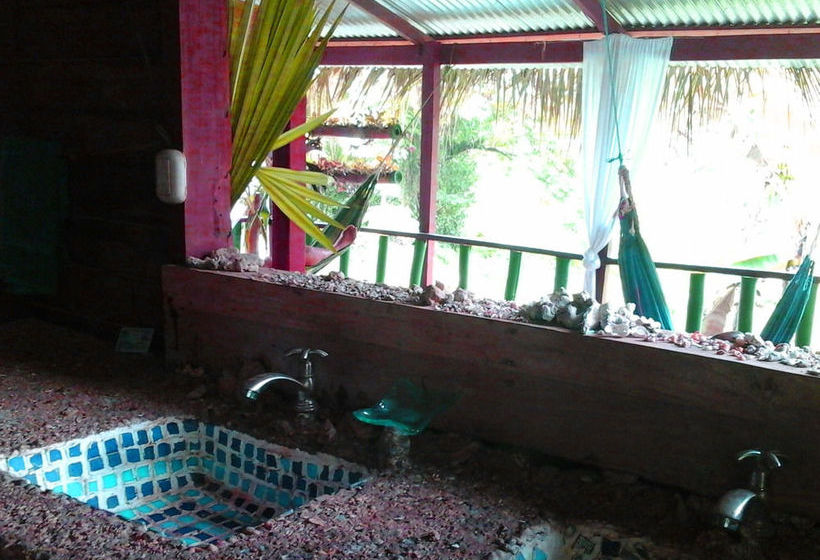 Blue Butterfly  | Puerto Viejo de Talamanca | Limón | Costa Rica 5