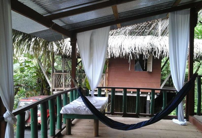 Blue Butterfly  | Puerto Viejo de Talamanca | Limón | Costa Rica 6