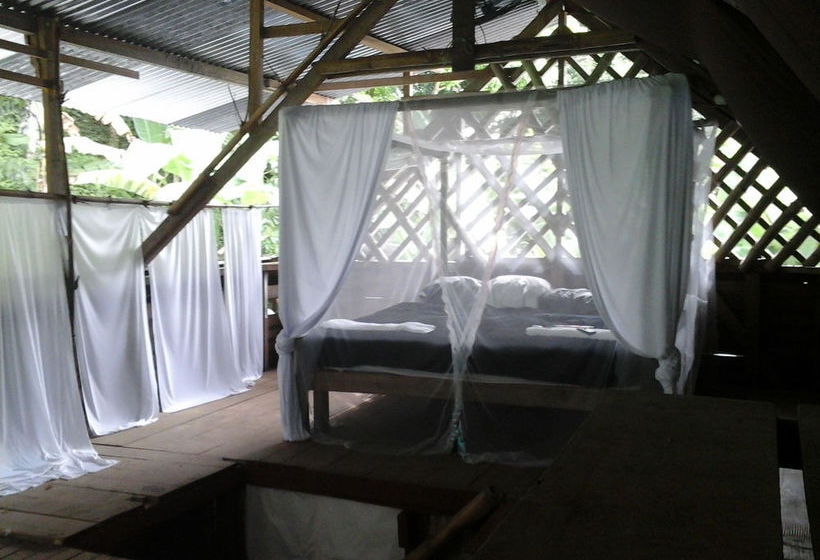 Blue Butterfly  | Puerto Viejo de Talamanca | Limón | Costa Rica 7