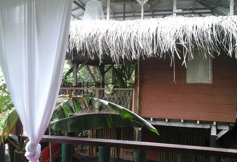Blue Butterfly  | Puerto Viejo de Talamanca | Limón | Costa Rica 8