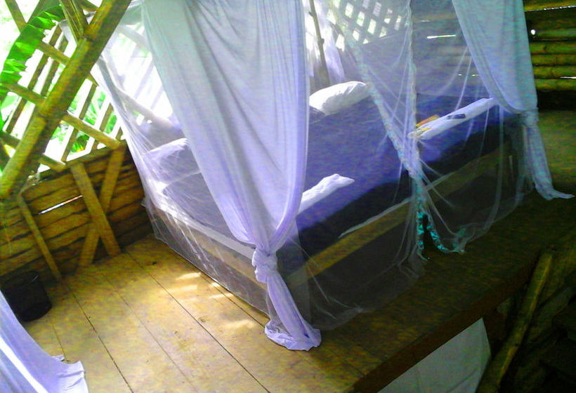 Blue Butterfly  | Puerto Viejo de Talamanca | Limón | Costa Rica 9