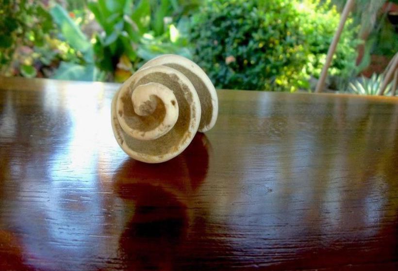 Hotel Cantarana  | Playa Grande | Guanacaste | Costa Rica 2