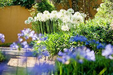 Hôtel La Bastide Saint Antoine  | Grasse | Alpes-Maritimes | France 19