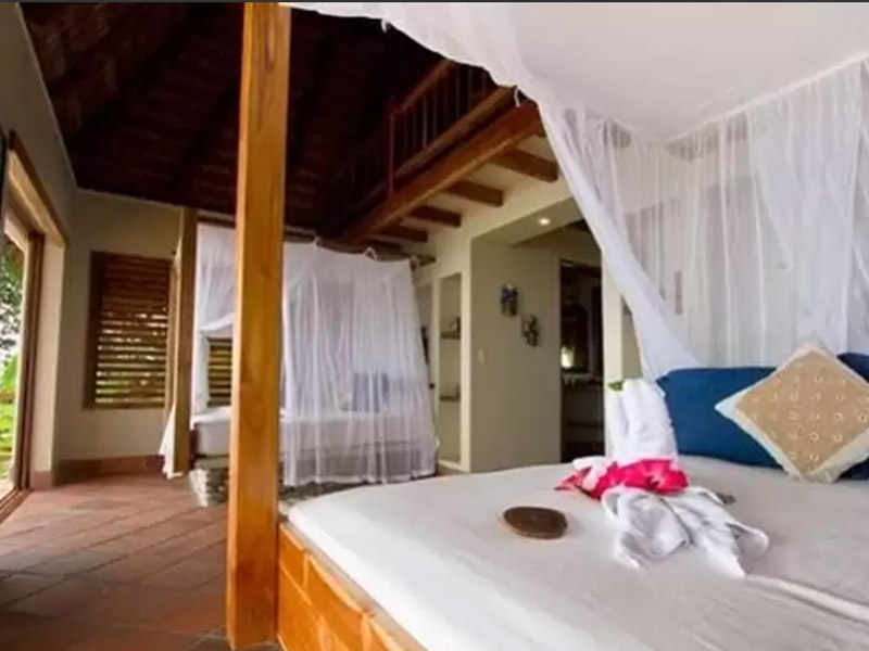 Hotel Bosque Del Cabo Rain Forest Lodge  | Puerto Jiménez | Puntarenas | Costa Rica 10