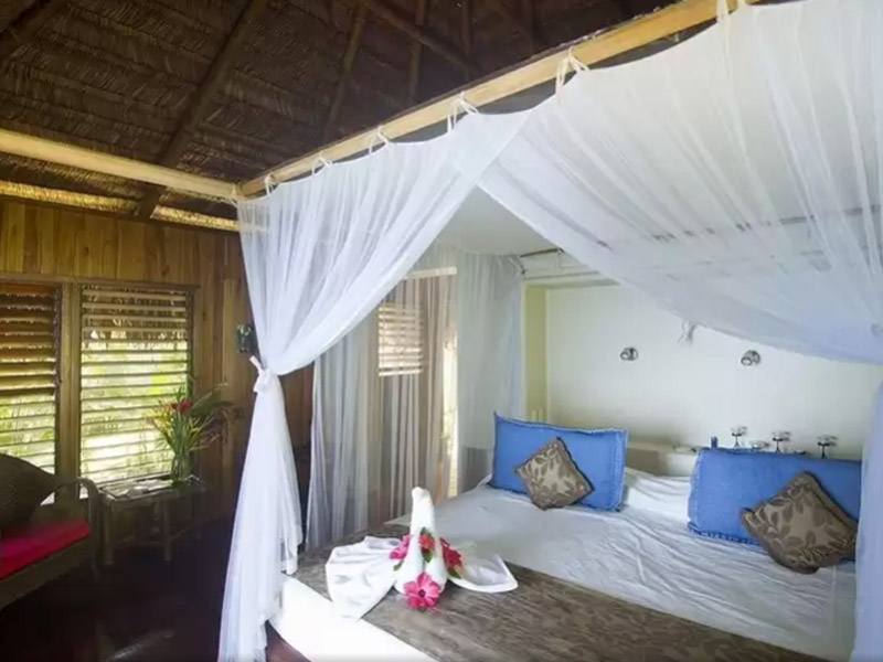 Hotel Bosque Del Cabo Rain Forest Lodge  | Puerto Jiménez | Puntarenas | Costa Rica 4