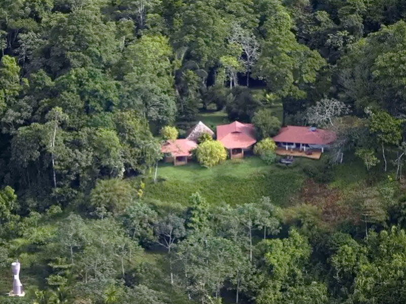 Hotel Bosque Del Cabo Rain Forest Lodge  | Puerto Jiménez | Puntarenas | Costa Rica 9