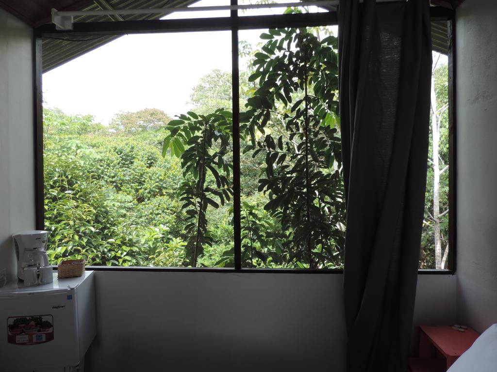 Ranchos Remo  | Uvita | Puntarenas | Costa Rica 3