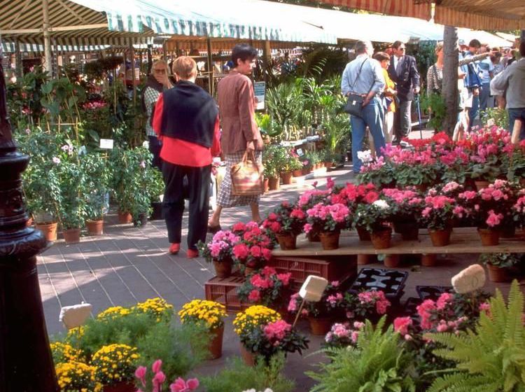 Hôtel Ibis Centre Notre Dame  | Nice | Alpes-Maritimes | France 16