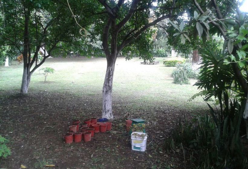 Pensión Casaechavarria  | San Pedro | San José | Costa Rica 8