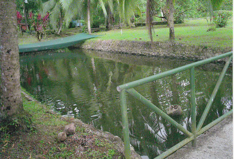 Hotel El Pizote Lodge  | Puerto Viejo de Talamanca | Limón | Costa Rica 9