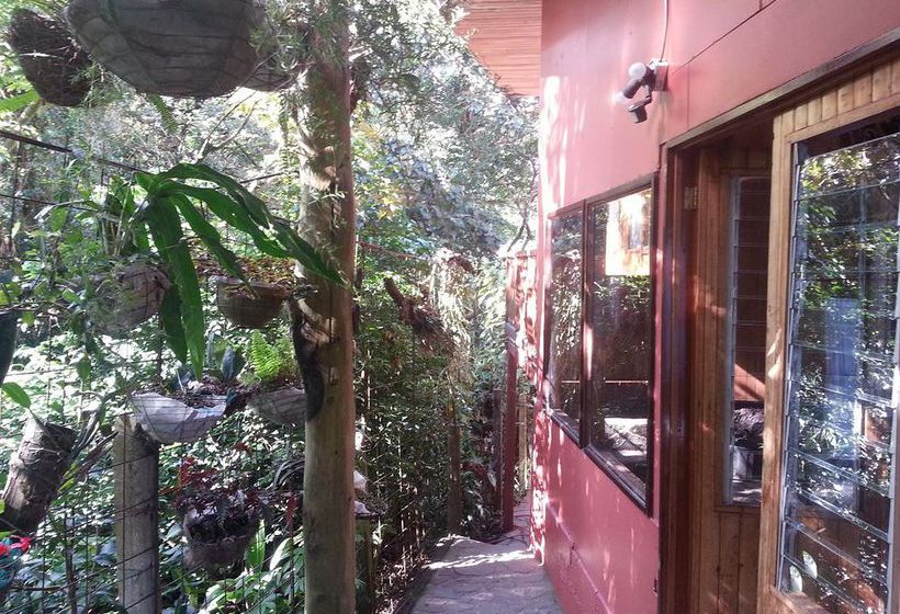 Hotel Forest Dreams Manakin  | Monteverde | Puntarenas | Costa Rica 12