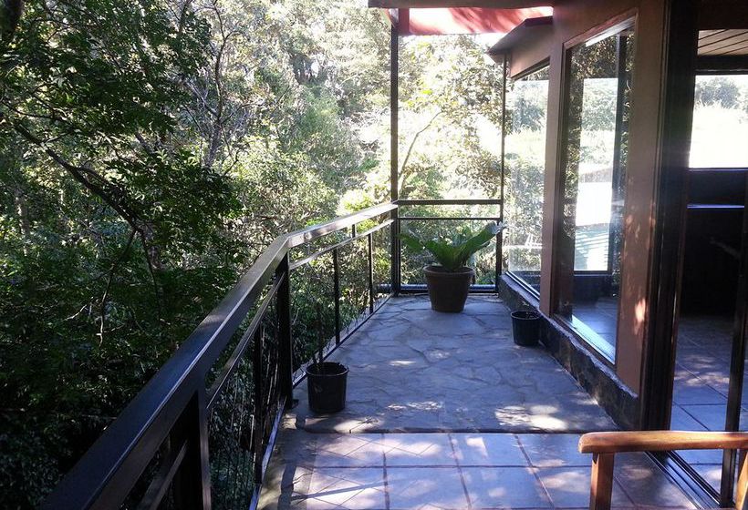 Hotel Forest Dreams Manakin  | Monteverde | Puntarenas | Costa Rica 13