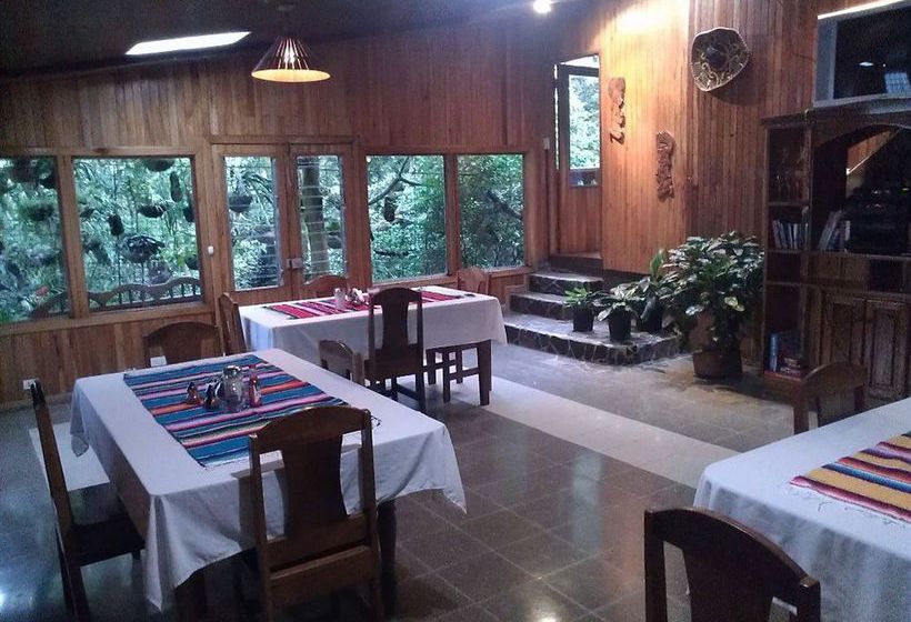 Hotel Forest Dreams Manakin  | Monteverde | Puntarenas | Costa Rica 3