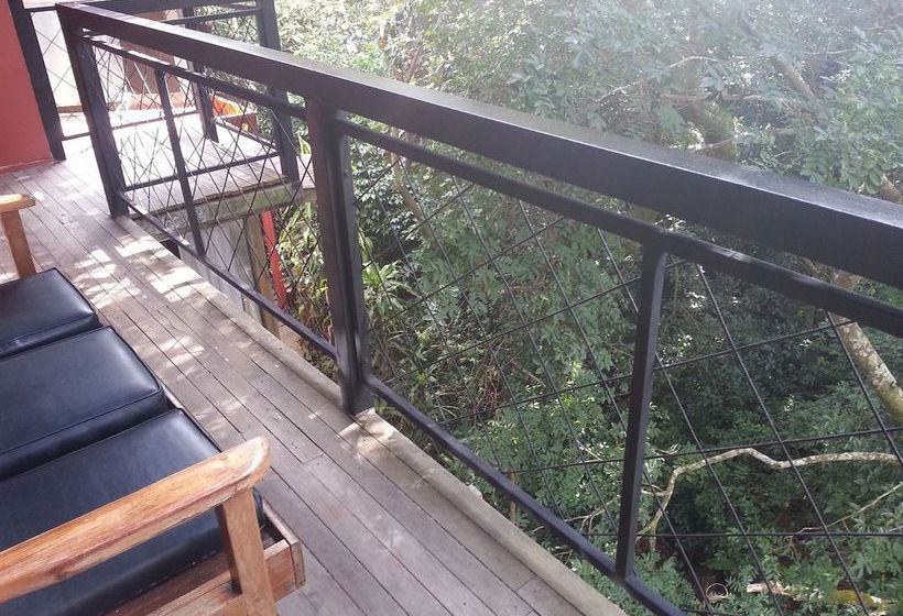 Hotel Forest Dreams Manakin  | Monteverde | Puntarenas | Costa Rica 9