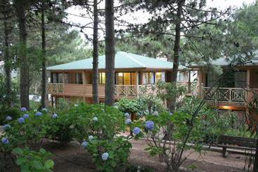 Motel Les Pins  | Calvi | Alta Corsica | Francia 5