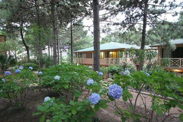 Motel Les Pins  | Calvi | Alta Corsica | Francia 6