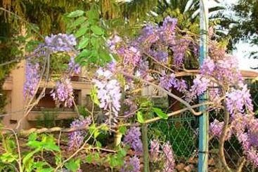 Hotel Esperanto  | Cannes | Alpes-Maritimes | France 1