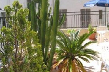 Hotel La Petite Sirene  | Nice | Alpes-Maritimes | France 6