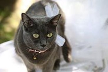 Hôtel Jardins Secrets  | Nîmes | Gard | France 14