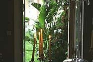 Hôtel Jardins Secrets  | Nîmes | Gard | France 3