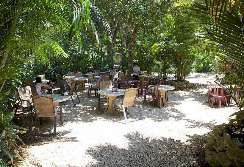 Hotel El Sano Banano Village  | Montezuma | Puntarenas | Costa Rica 16