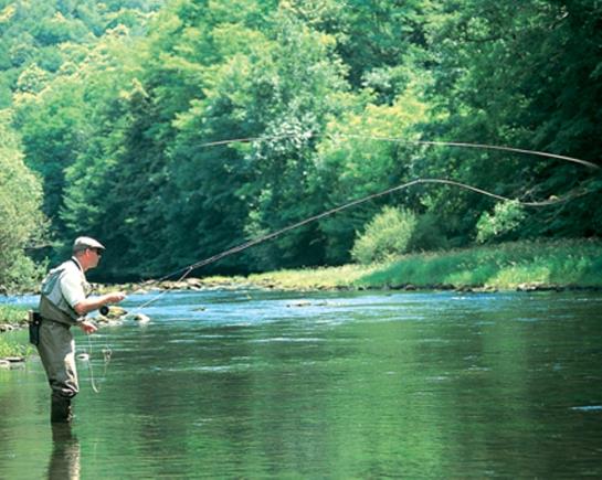 Hôtel City Résidence Termalia Capvern Les Bains  | Capvern les Bains | Hautes-Pyrenees | France 7