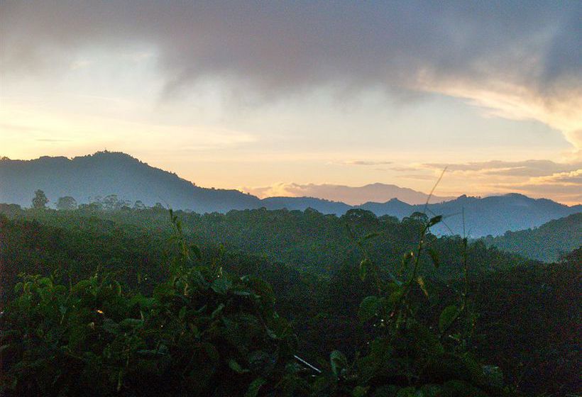 Casa Amanecer B & B  | San Ramon | Alajuela | Costa Rica 17