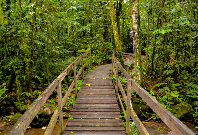 Hotel Termales Del Bosque  | Quesada | Alajuela | Costa Rica 1