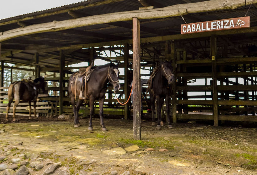 Hotel Termales Del Bosque  | Quesada | Alajuela | Costa Rica 8
