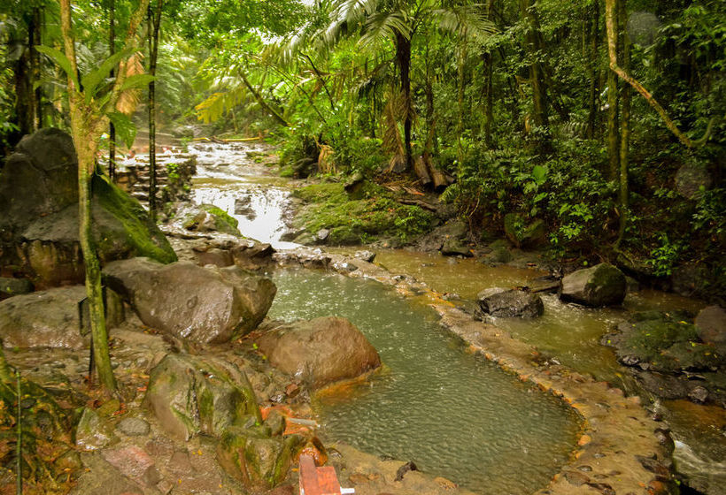 Hotel Termales Del Bosque  | Quesada | Alajuela | Costa Rica 9