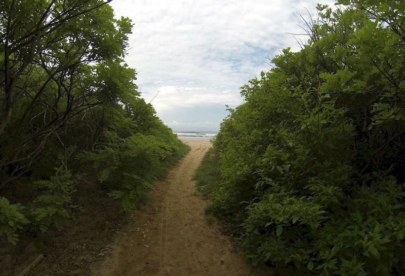 Hotel Indra Inn  | Playa Grande | Guanacaste | Costa Rica 20