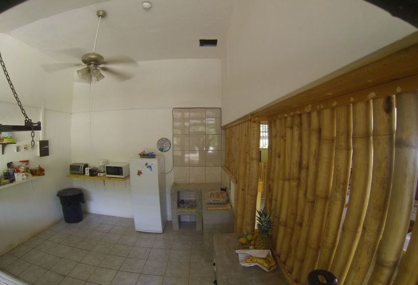 Hotel Indra Inn  | Playa Grande | Guanacaste | Costa Rica 7