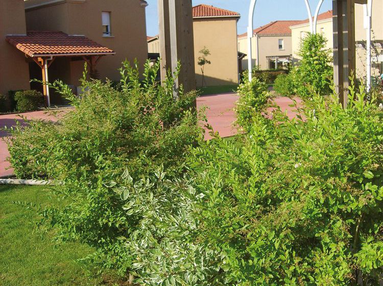 Hôtel Le Clos Des Vignes  | Bergerac | Dordogne | France 2