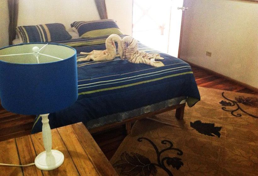 Lizard King Resort  | Puerto Viejo de Talamanca | Limón | Costa Rica 10