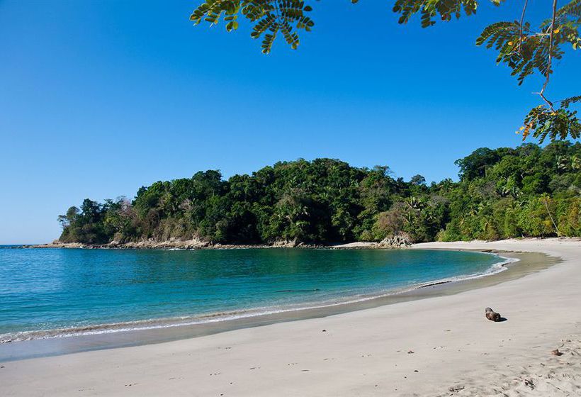 Lizard King Resort  | Puerto Viejo de Talamanca | Limón | Costa Rica 12