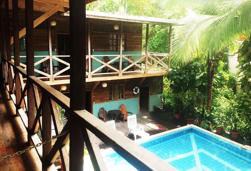 Lizard King Resort  | Puerto Viejo de Talamanca | Limón | Costa Rica 5