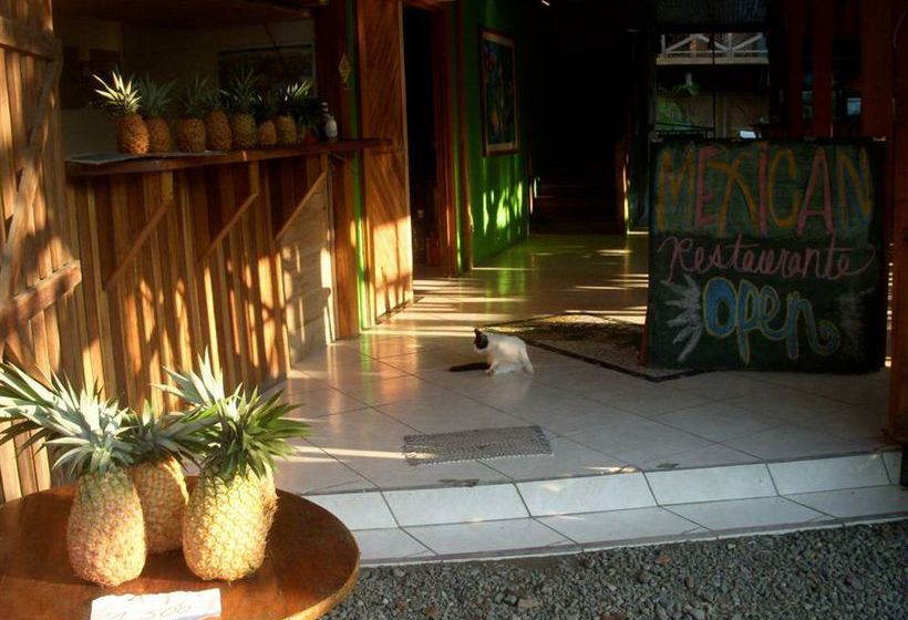 Lizard King Resort  | Puerto Viejo de Talamanca | Limón | Costa Rica 6