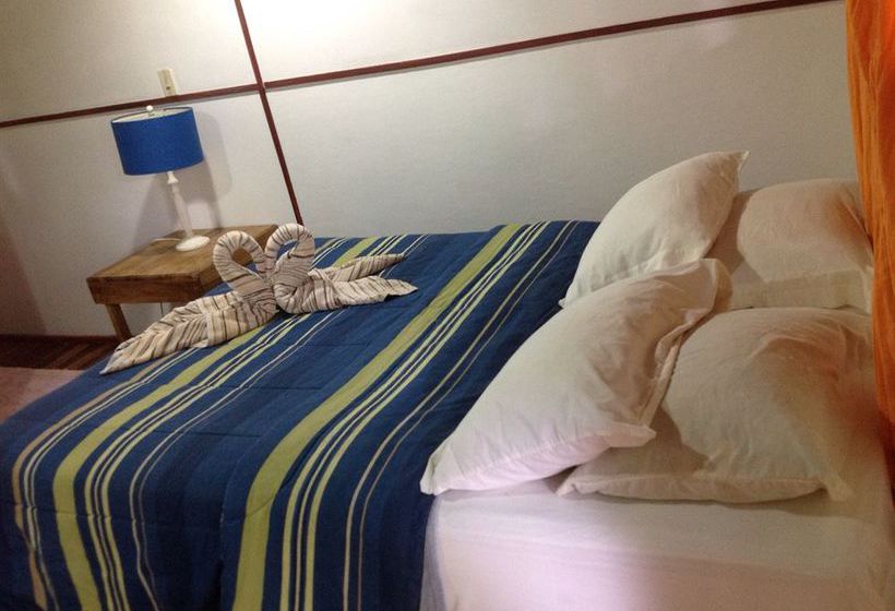 Lizard King Resort  | Puerto Viejo de Talamanca | Limón | Costa Rica 8