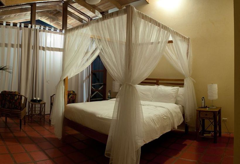 Hotel Río Magnolia Nature Lodge  | Alfombra | San José | Costa Rica 4