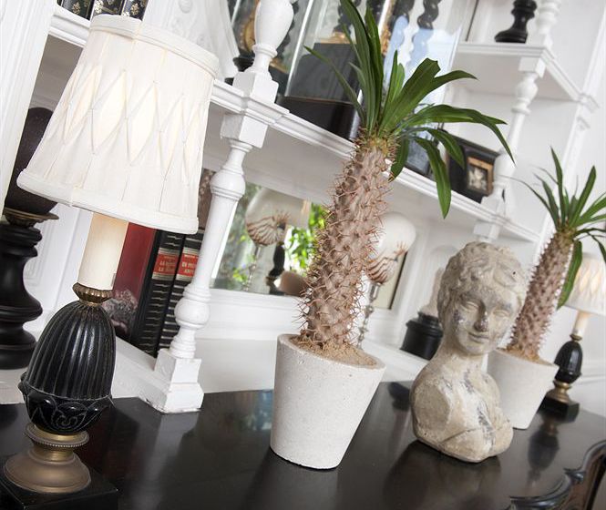 Hôtel Edouard VII  | Biarritz | Pyrenees-Atlantiques | France 14