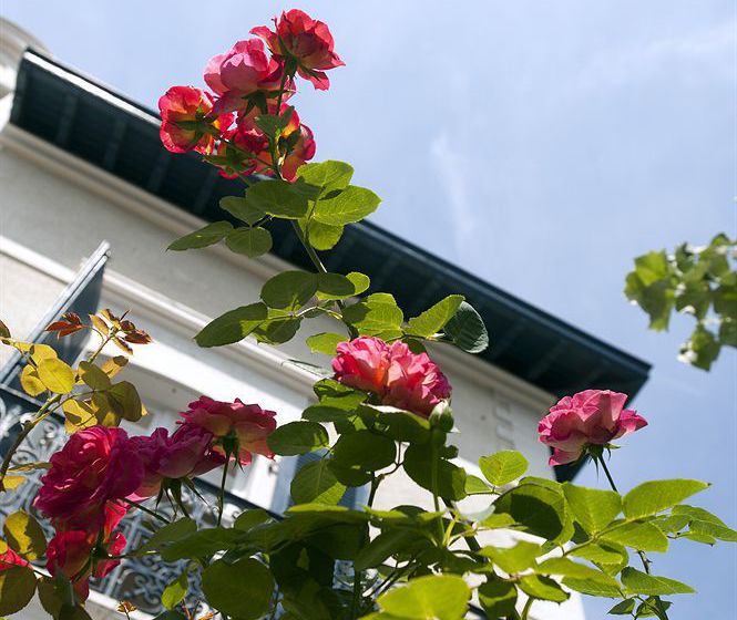 Hôtel Edouard VII  | Biarritz | Pyrenees-Atlantiques | France 19